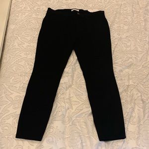 BNWT Loft Jeggings!